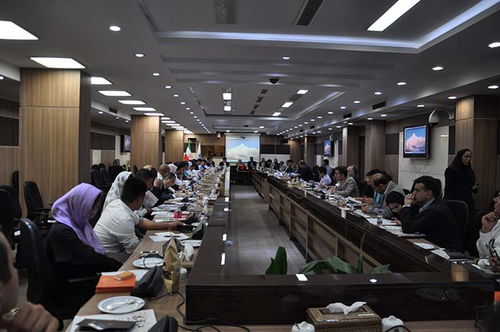攜手中東，共創未來 云南商務代表團赴阿聯酋、沙特、伊朗開拓經貿合作新篇章